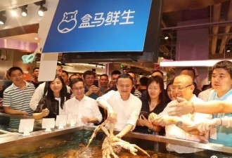 马云站台的盒马,为何会员店全军覆没?