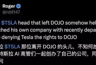 六年全部白干，马斯克砍掉自研芯片到底为啥？
