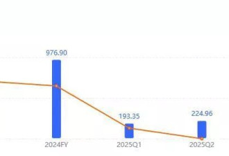 六年全部白干，马斯克砍掉自研芯片到底为啥？