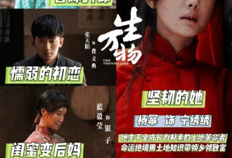 《万物生》秦海璐大赞杨幂极聪明一个人：上道了