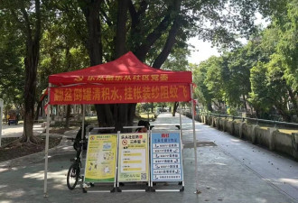 与蚊子的战役（下篇）,他们经历的基孔肯雅热感染