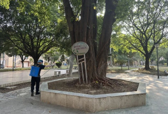 与蚊子的战役（下篇）,他们经历的基孔肯雅热感染