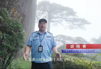 黄山迎客松是假树？第19代守松人验明正身