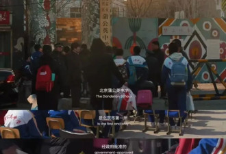 真实特写：纽约的哈林区，中国的蒲公英！