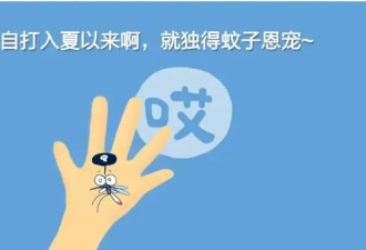 为什么蚊子总是叮上你 原来它“偏爱”这些人
