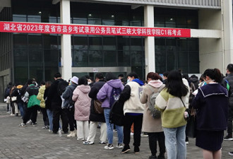 中国公职人员 究竟要多坏才会被剥夺编制