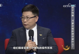 华为放话 要这样走向世界