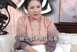 向太公布梅艳芳惹怒黑帮细节 自己被枪指头