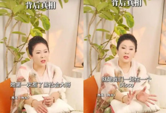 向太公布梅艳芳惹怒黑帮细节 自己被枪指头