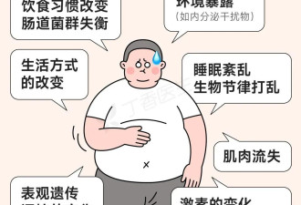 肚子越大老得越快 最有效的逆转方法只有一个