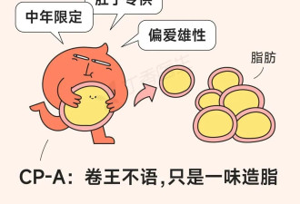 肚子越大老得越快 最有效的逆转方法只有一个