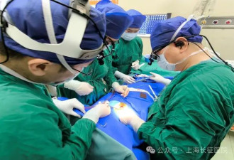 全球罕见！中国医生救回“身首离断”患者