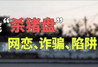 美华人科学家身陷“美女杀猪盘” 被掏光$250万积蓄！