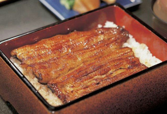 开日料店的中国人，气坏了日本人