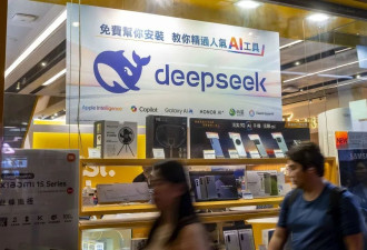DeepSeek，正在遭遇“中年危机”....