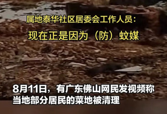倒积水，平菜地，清天台，拆房子，灭蚊变味了