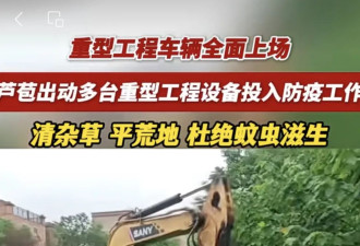 倒积水，平菜地，清天台，拆房子，灭蚊变味了