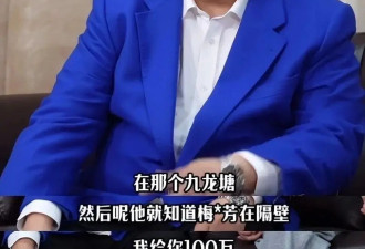 向太曝光梅艳芳被追杀真相，躲泰国2年， 陪身边的，却不是赵文卓