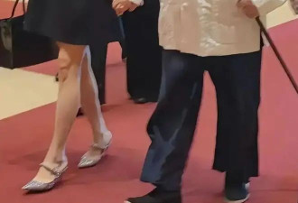 范曾第三任妻子荒唐事曝光！和范曾偷情10多年 让俩儿子跟继父姓
