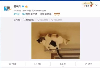 劳东燕：近年来，有股力量拖拽着所有人向下坠落