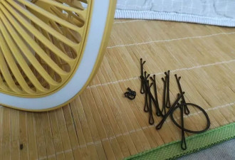 团播保底2万？00后女孩：违约赔50万
