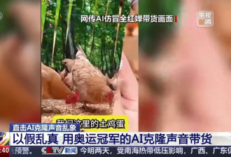 全红婵惨遭骗徒用AI假冒带货卖鸡蛋 大量粉丝中招