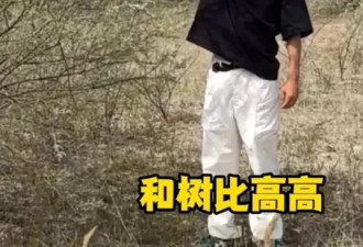 马云现身蚂蚁森林：替大家看看树长得怎么样了