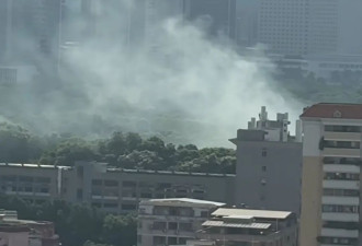 广州在住宅区喷剧毒农药，是灭人还是灭蚊？