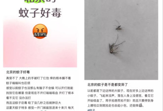 全球“最毒”的蚊子，为何批量北上？