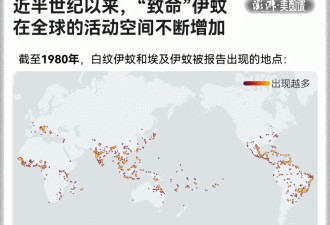 全球“最毒”的蚊子，为何批量北上？