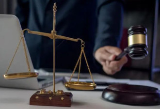 误把同伴当野猪射杀，被告人被判缓刑...