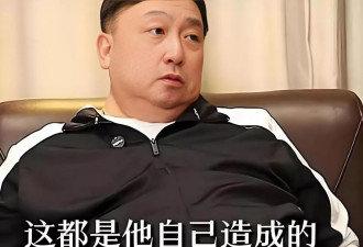 真相迟到但不缺席,王菲背了14年的锅,原来我们都错怪了她