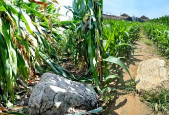 中国“最矮山”名列保护文物 网友看到后傻眼