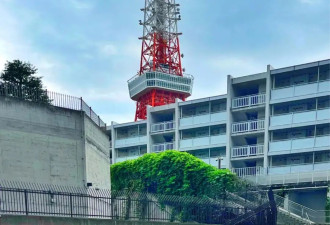 赴日旅行日记（六）观塔瞰景