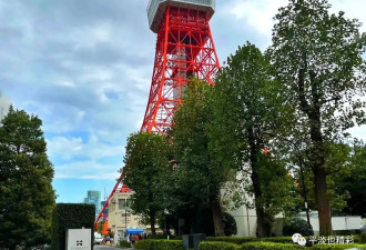 赴日旅行日记（六）观塔瞰景