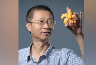 院士增选，颜宁可以推荐同门师兄柴继杰吗？