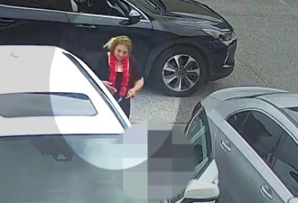 别让爸妈中招！约克警方曝光街头骗术：小心“笑脸贼”