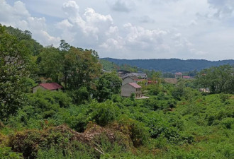 一个正厅一个副处，两名“蔡光辉”落马竟是亲兄弟