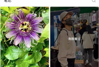张曼玉入驻小某书，竟有人觉得她是缺钱了