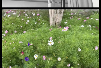 “21岁，确诊癌症，我好开心”
