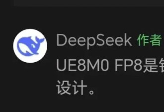 DeepSeek一句话让中国芯片集体暴涨？