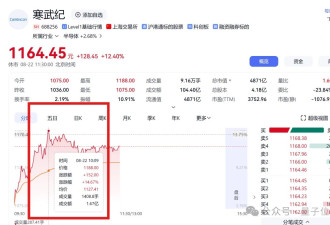 DeepSeek一句话让中国芯片集体暴涨？