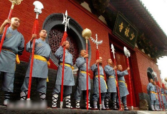 从娃哈哈到少林寺，是不是民企？