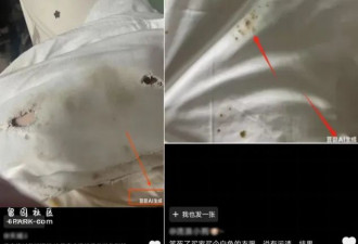 穷疯了?AI伪造发霉水果、破衣服骗商家退款
