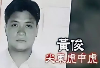 向太首次公布梅艳芳惹怒黑帮细节，梅艳芳吓哭求救