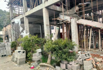 浙江台州一包工头砍掉雇主邻居所种树被刑拘