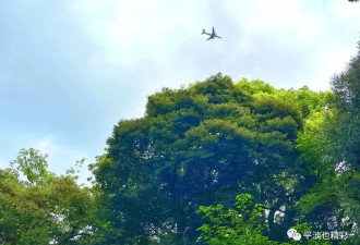 赴日旅行日记（七）明治神宫