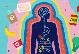 肠道健康指南：我们该吃什么？ 又该避开什么？