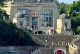 “经济学家”上蹿下跳为“精神崩溃”杨景媛鸣冤