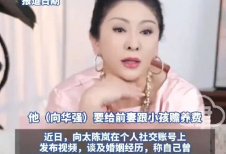 向太谈及与向华强前妻丁佩的相处细节！主动提出给对方20倍抚养费